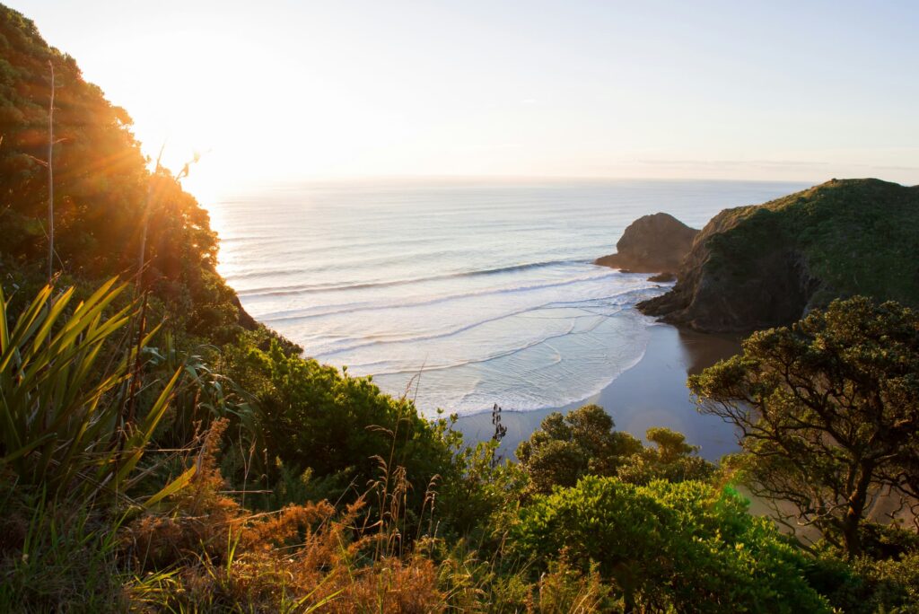 Vue panoramique d'une plage isolée entourée de collines verdoyantes et de végétation luxuriante en Nouvelle-Zélande, au lever du soleil